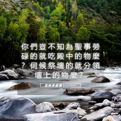Picture 05 - 歌 林 多 前 書 9:13 CUVT - 你 們 豈 不 知 為 聖 事 勞 碌 的 就 - Bible Verse Picture