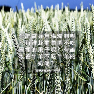 Picture 05 - 歌 林 多 前 書 9:7 CUVT - 有 誰 當 兵 自 備 糧 餉 呢 ？ 有 誰 - Bible Verse Picture