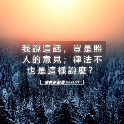 Picture 05 - 歌 林 多 前 書 9:8 CUVT - 我 說 這 話 ， 豈 是 照 人 的 意 見 - Bible Verse Picture