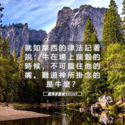 Picture 05 - 歌 林 多 前 書 9:9 CUVT - 就 如 摩 西 的 律 法 記 著 說 ： 牛 - Bible Verse Picture