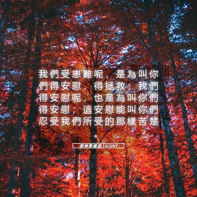 Picture 05 - 歌 林 多 後 書 1:6 CUVT - 我 們 受 患 難 呢 ， 是 為 叫 你 們 - Bible Verse Picture