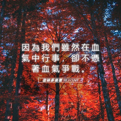 Picture 05 - 歌 林 多 後 書 10:3 CUVT - 因 為 我 們 雖 然 在 血 氣 中 行 事 - Bible Verse Picture