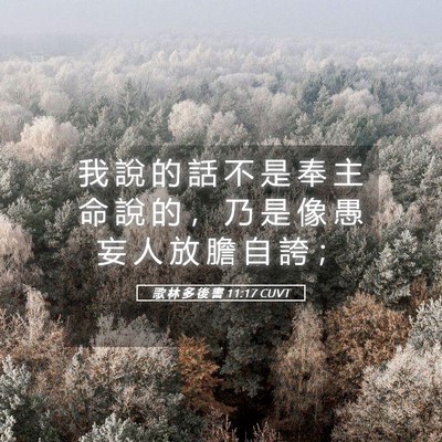Picture 05 - 歌 林 多 後 書 11:17 CUVT - 我 說 的 話 不 是 奉 主 命 說 的 ， - Bible Verse Picture