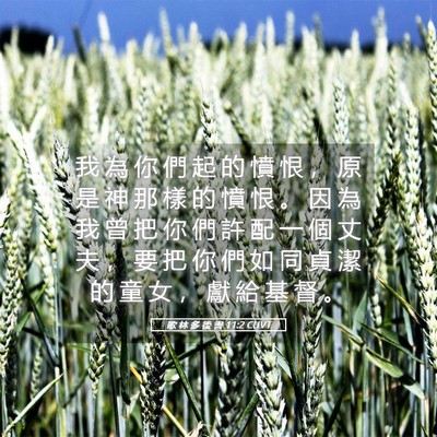 Picture 05 - 歌 林 多 後 書 11:2 CUVT - 我 為 你 們 起 的 憤 恨 ， 原 是 神 - Bible Verse Picture