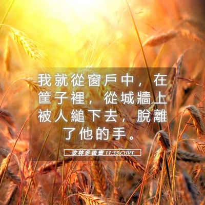 Picture 05 - 歌 林 多 後 書 11:33 CUVT - 我 就 從 窗 戶 中 ， 在 筐 子 裡 ， - Bible Verse Picture