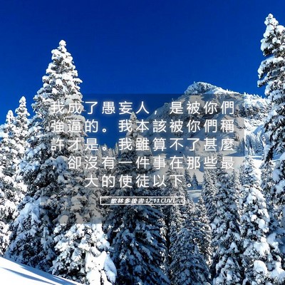 Picture 05 - 歌 林 多 後 書 12:11 CUVT - 我 成 了 愚 妄 人 ， 是 被 你 們 強 - Bible Verse Picture