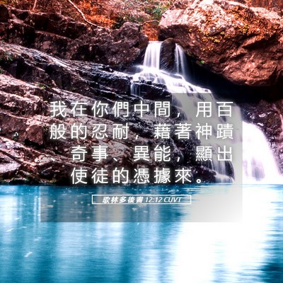 Picture 05 - 歌 林 多 後 書 12:12 CUVT - 我 在 你 們 中 間 ， 用 百 般 的 忍 - Bible Verse Picture