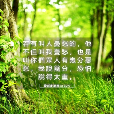 Picture 05 - 歌 林 多 後 書 2:5 CUVT - 若 有 叫 人 憂 愁 的 ， 他 不 但 叫 - Bible Verse Picture