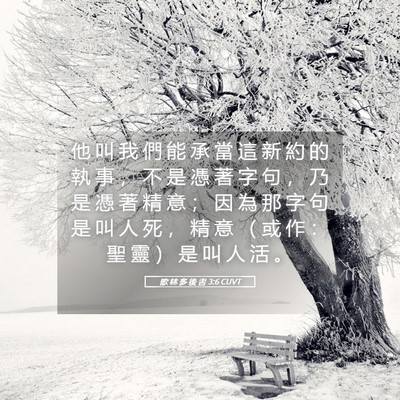 Picture 05 - 歌 林 多 後 書 3:6 CUVT - 他 叫 我 們 能 承 當 這 新 約 的 執 - Bible Verse Picture