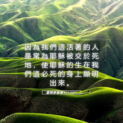 Picture 05 - 歌 林 多 後 書 4:11 CUVT - 因 為 我 們 這 活 著 的 人 是 常 為 - Bible Verse Picture