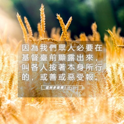 Picture 05 - 歌 林 多 後 書 5:10 CUVT - 因 為 我 們 眾 人 必 要 在 基 督 臺 - Bible Verse Picture