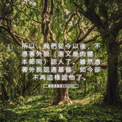 Picture 05 - 歌 林 多 後 書 5:16 CUVT - 所 以 ， 我 們 從 今 以 後 ， 不 憑 - Bible Verse Picture