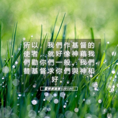 Picture 05 - 歌 林 多 後 書 5:20 CUVT - 所 以 ， 我 們 作 基 督 的 使 者 ， - Bible Verse Picture