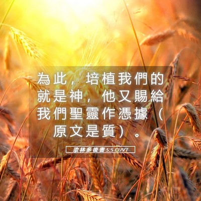 Picture 05 - 歌 林 多 後 書 5:5 CUVT - 為 此 ， 培 植 我 們 的 就 是 神 ， - Bible Verse Picture