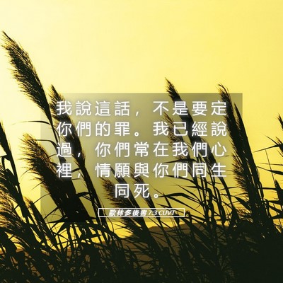 Picture 05 - 歌 林 多 後 書 7:3 CUVT - 我 說 這 話 ， 不 是 要 定 你 們 的 - Bible Verse Picture
