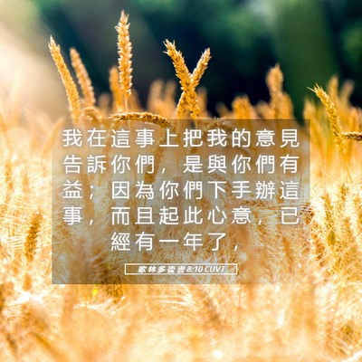 Picture 05 - 歌 林 多 後 書 8:10 CUVT - 我 在 這 事 上 把 我 的 意 見 告 訴 - Bible Verse Picture