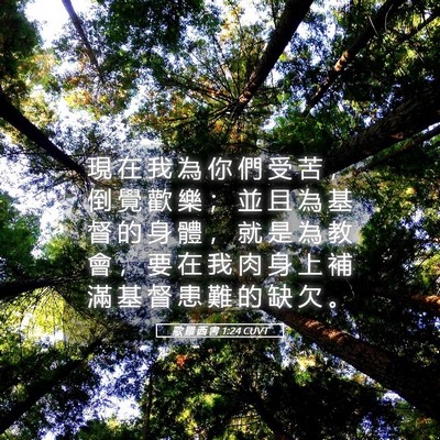 Picture 05 - 歌 羅 西 書 1:24 CUVT - 現 在 我 為 你 們 受 苦 ， 倒 覺 歡 - Bible Verse Picture