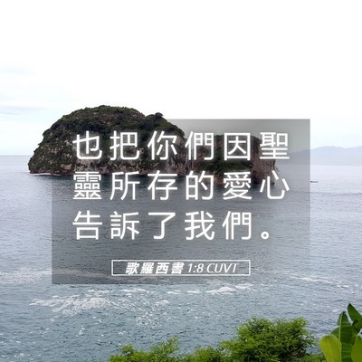 Picture 05 - 歌 羅 西 書 1:8 CUVT - 也 把 你 們 因 聖 靈 所 存 的 愛 心 - Bible Verse Picture