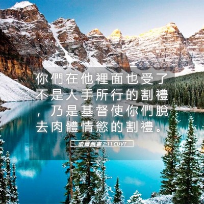 Picture 05 - 歌 羅 西 書 2:11 CUVT - 你 們 在 他 裡 面 也 受 了 不 是 人 - Bible Verse Picture