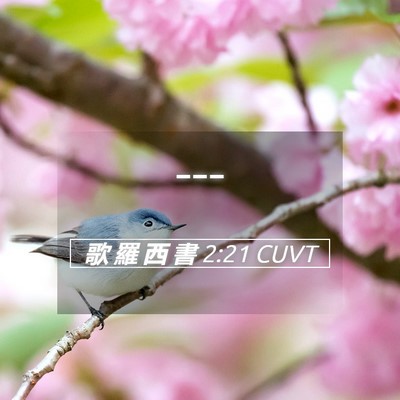 Picture 05 - 歌 羅 西 書 2:21 CUVT -  - Bible Verse Picture