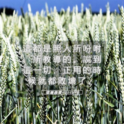 Picture 05 - 歌 羅 西 書 2:22 CUVT - 這 都 是 照 人 所 吩 咐 、 所 教 導 - Bible Verse Picture