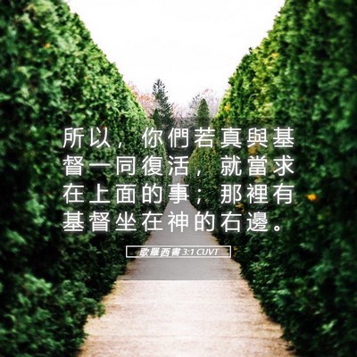 Picture 05 - 歌 羅 西 書 3:1 CUVT - 所 以 ， 你 們 若 真 與 基 督 一 同 - Bible Verse Picture