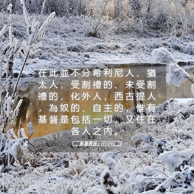 Picture 05 - 歌 羅 西 書 3:11 CUVT - 在 此 並 不 分 希 利 尼 人 、 猶 太 - Bible Verse Picture