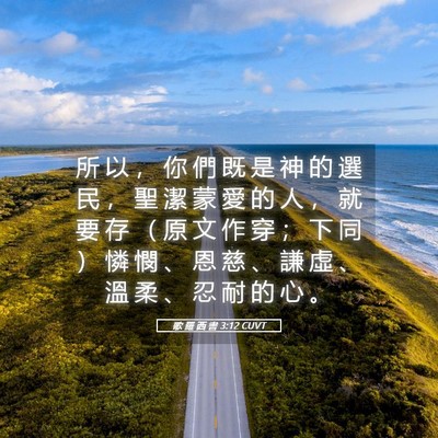 Picture 05 - 歌 羅 西 書 3:12 CUVT - 所 以 ， 你 們 既 是 神 的 選 民 ， - Bible Verse Picture