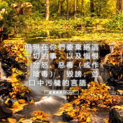 Picture 05 - 歌 羅 西 書 3:8 CUVT - 但 現 在 你 們 要 棄 絕 這 一 切 的 - Bible Verse Picture