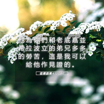 Picture 05 - 歌 羅 西 書 4:13 CUVT - 他 為 你 們 和 老 底 嘉 並 希 拉 波 - Bible Verse Picture