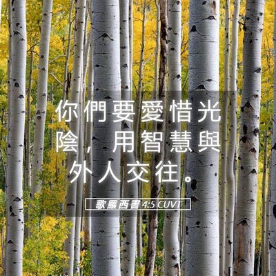 Picture 05 - 歌 羅 西 書 4:5 CUVT - 你 們 要 愛 惜 光 陰 ， 用 智 慧 與 - Bible Verse Picture