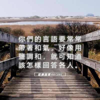 Picture 05 - 歌 羅 西 書 4:6 CUVT - 你 們 的 言 語 要 常 常 帶 著 和 氣 - Bible Verse Picture