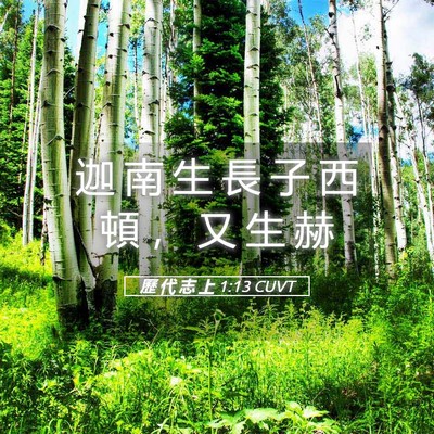 Picture 05 - 歷 代 志 上 1:13 CUVT - 迦 南 生 長 子 西 頓 ， 又 生 - Bible Verse Picture