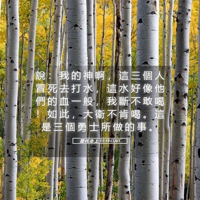 Picture 05 - 歷 代 志 上 11:19 CUVT - 說 ： 我 的 神 啊 ， 這 三 個 人 冒 - Bible Verse Picture
