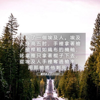 Picture 05 - 歷 代 志 上 11:23 CUVT - 又 殺 了 一 個 埃 及 人 。 埃 及 人 - Bible Verse Picture