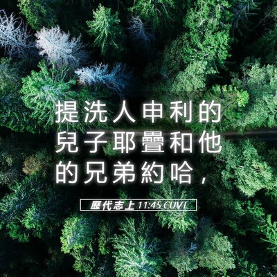 Picture 05 - 歷 代 志 上 11:45 CUVT - 提 洗 人 申 利 的 兒 子 耶 疊 和 他 - Bible Verse Picture