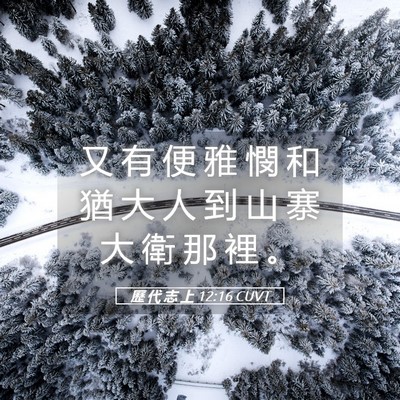 Picture 05 - 歷 代 志 上 12:16 CUVT - 又 有 便 雅 憫 和 猶 大 人 到 山 寨 - Bible Verse Picture