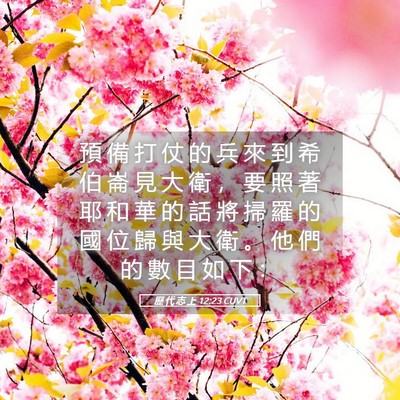 Picture 05 - 歷 代 志 上 12:23 CUVT - 預 備 打 仗 的 兵 來 到 希 伯 崙 見 - Bible Verse Picture