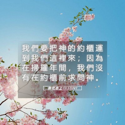 Picture 05 - 歷 代 志 上 13:3 CUVT - 我 們 要 把 神 的 約 櫃 運 到 我 們 - Bible Verse Picture
