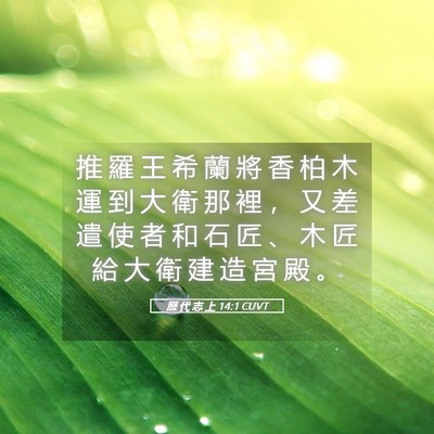 Picture 05 - 歷 代 志 上 14:1 CUVT - 推 羅 王 希 蘭 將 香 柏 木 運 到 大 - Bible Verse Picture