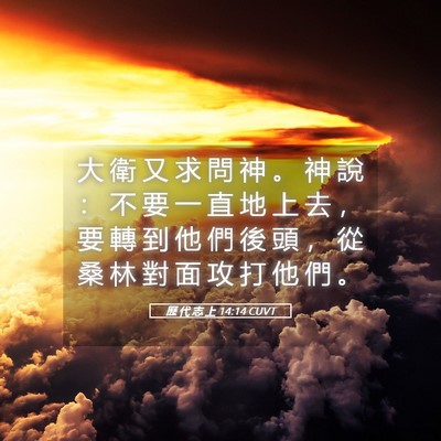 Picture 05 - 歷 代 志 上 14:14 CUVT - 大 衛 又 求 問 神 。 神 說 ： 不 要 - Bible Verse Picture