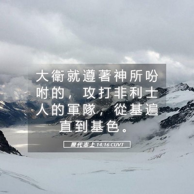 Picture 05 - 歷 代 志 上 14:16 CUVT - 大 衛 就 遵 著 神 所 吩 咐 的 ， 攻 - Bible Verse Picture