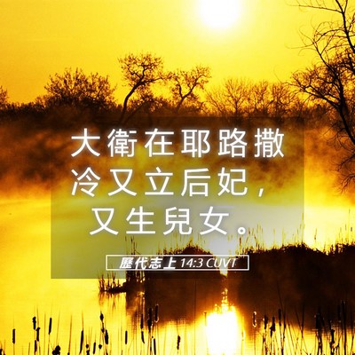 Picture 05 - 歷 代 志 上 14:3 CUVT - 大 衛 在 耶 路 撒 冷 又 立 后 妃 ， - Bible Verse Picture