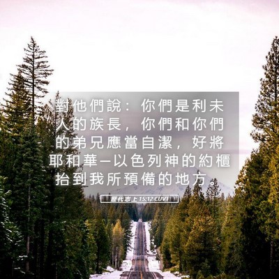 Picture 05 - 歷 代 志 上 15:12 CUVT - 對 他 們 說 ： 你 們 是 利 未 人 的 - Bible Verse Picture