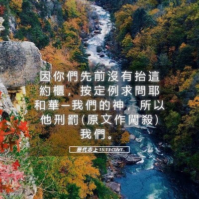Picture 05 - 歷 代 志 上 15:13 CUVT - 因 你 們 先 前 沒 有 抬 這 約 櫃 ， - Bible Verse Picture