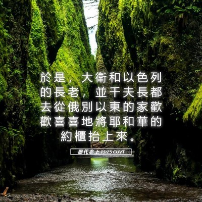 Picture 05 - 歷 代 志 上 15:25 CUVT - 於 是 ， 大 衛 和 以 色 列 的 長 老 - Bible Verse Picture