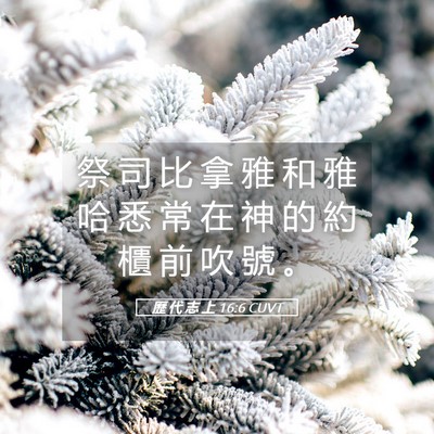 Picture 05 - 歷 代 志 上 16:6 CUVT - 祭 司 比 拿 雅 和 雅 哈 悉 常 在 神 - Bible Verse Picture