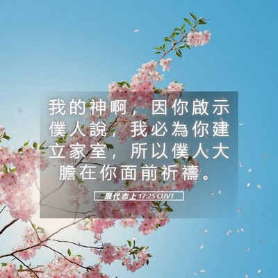 Picture 05 - 歷 代 志 上 17:25 CUVT - 我 的 神 啊 ， 因 你 啟 示 僕 人 說 - Bible Verse Picture