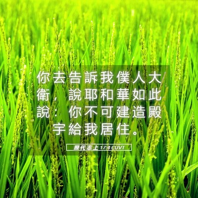 Picture 05 - 歷 代 志 上 17:4 CUVT - 你 去 告 訴 我 僕 人 大 衛 ， 說 耶 - Bible Verse Picture