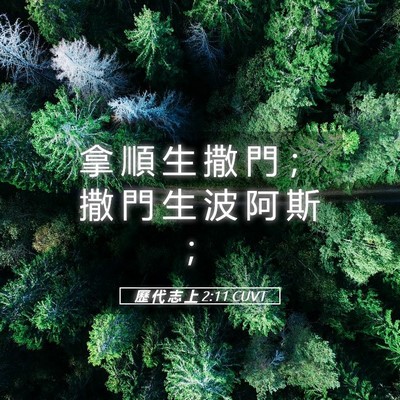 Picture 05 - 歷 代 志 上 2:11 CUVT - 拿 順 生 撒 門 ； 撒 門 生 波 阿 斯 - Bible Verse Picture